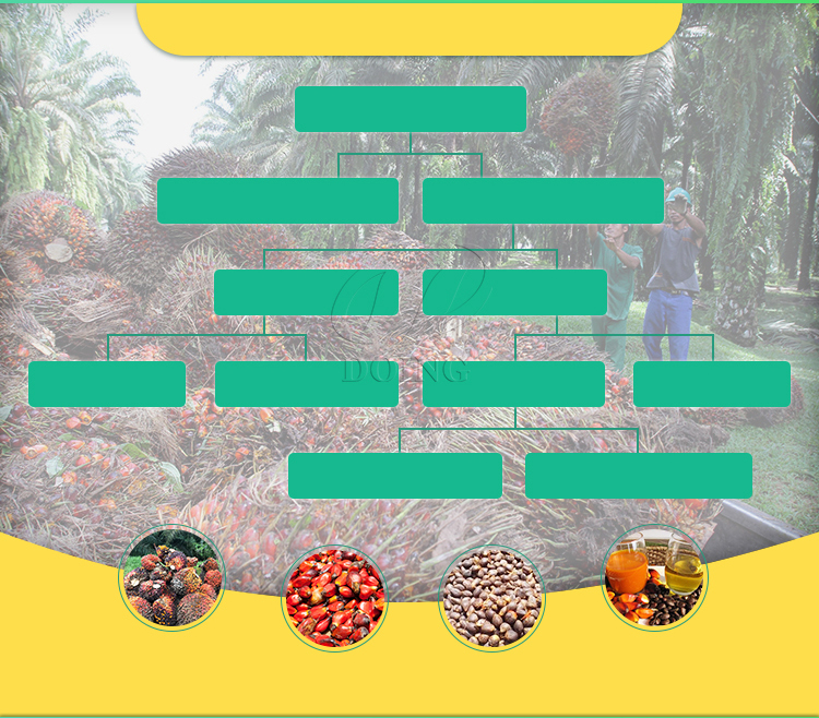 palm oil 