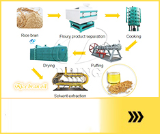 Rice Bran Oil Processing Machine
