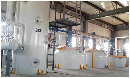 máquina de aceite de palma zambia