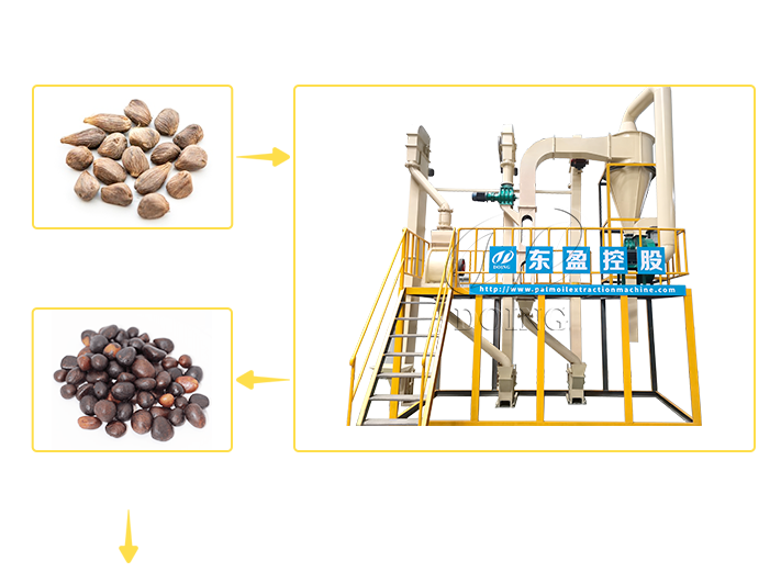 Línea de prensado de aceite de palmiste