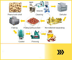 máquina procesadora de aceite de maní