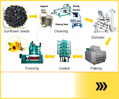 Maquina procesadora de aceite de girasol